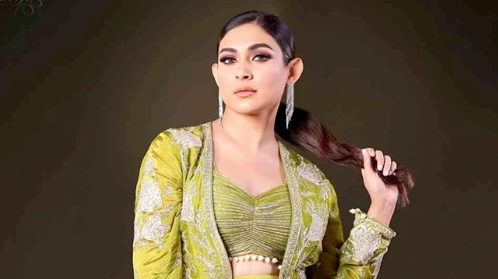 ‘অর্থ আত্মসাৎ এবং হত্যার হুমকি’ মামলা থেকে মেহজাবীনের অব্যাহতি